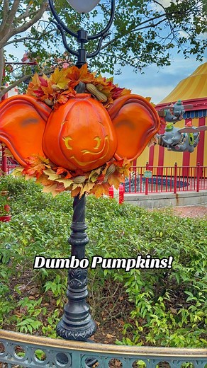They even have little peanuts in the wreath 🥹🥹 #dumbo #pumpkin #magickingdom #waltdisneyworld #tipsandtricks