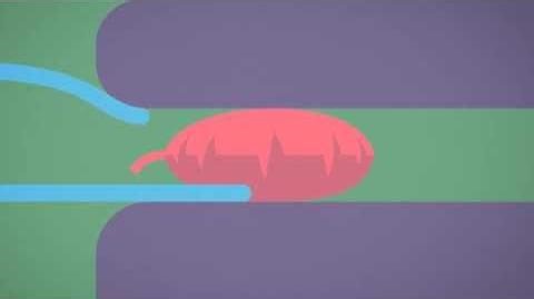 April Fools Ways to Die