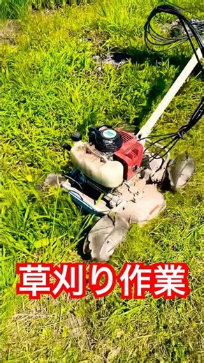 オーレック スパイダーモアの実力は❓#オーレック #スパイダーモア #OREC#mowing #草刈り#農業 #農家 #kubota #草刈り機 #草刈機 #mowinggrass