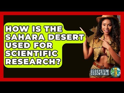 How Is The Sahara Desert Used For Scientific Research? - Ecosystem Essentials