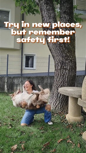 ✨ 𝐓𝐫𝐮𝐬𝐭, 𝐜𝐨𝐧𝐧𝐞𝐜𝐭𝐢𝐨𝐧, 𝐚𝐧𝐝 𝐚 𝐥𝐢𝐭𝐭𝐥𝐞 𝐛𝐢𝐭 𝐨𝐟 𝐜𝐨𝐮𝐫𝐚𝐠𝐞 — 𝐚𝐥𝐥 𝐢𝐧 𝐨𝐧𝐞 𝐭𝐫𝐢𝐜𝐤! Teaching the Trust Fall (or Free Fall) is such a beautiful way to strengthen your bond with your dog. 💫 Did you know we have a bunch of super cool trick courses at Chasing The Tale? If you’re ready to take on a new project with your dog, strengthen your bond, and grow as a trainer - you should definitely check them out! >> https://chasingthetaleacademy.com/dog-tricks-training-c