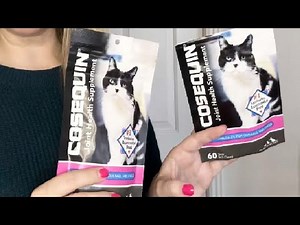 Nutramax Cosequin Joint Health Supplement for Cats With Glucosamine, Chondroitin, and Omega 3
