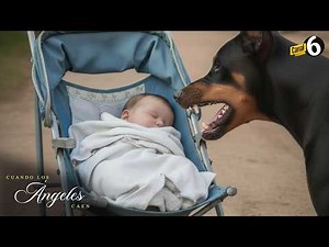 Teenage mother goes to a party and leaves her son with a Doberman pinscher.