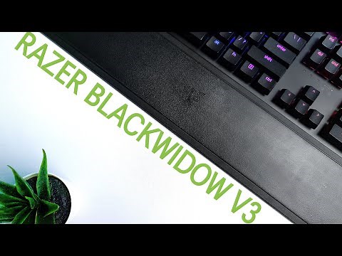 Razer Blackwidow V3 Review - Zu HOHER Preis und zu viele Kompromisse