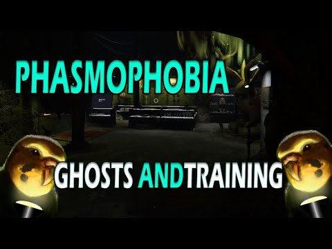 PHASMOPHOBIA GHOSTS AND TRAINING Budgie Camera 25TH