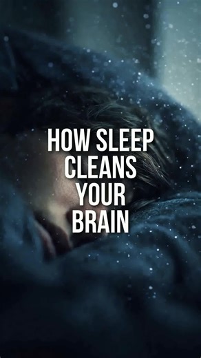 Sleep isn’t just rest—it’s brain cleaning time. 🧠✨ During deep sleep, your brain flushes out toxic waste, keeping it healthy and sharp. Prioritize sleep for cognitive clarity and long-term brain health! #BrainHealth #SleepScience #Neuroscience #GlymphaticSystem #CognitiveScience #MindAndBrain #Neurobiology #HealthyBrain #SleepMatters #ScienceExplained
