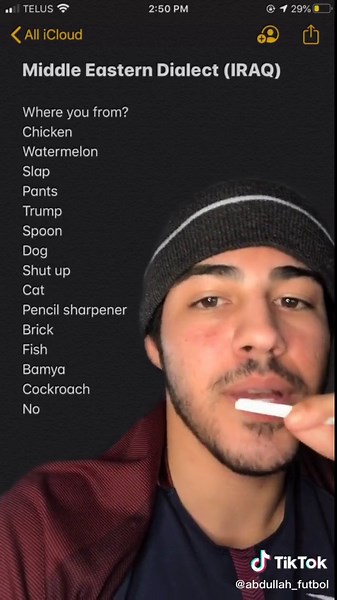 Iraqi Dialect Challenge: Explore Iraqi Words and Baghdad Accent