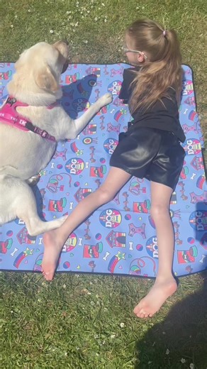 The Dog Shack on TikTok