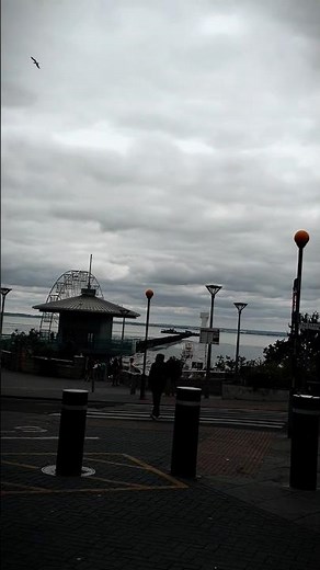 Southend-on-Sea 🌊 | Pier, Railway & Seaside Views #shorts #uktravel #southendonsea #vlog #uk #train