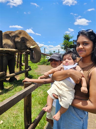 Adventure Road Trip: Meeting Elephants Today!