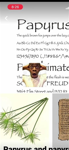 papyrus #roblox