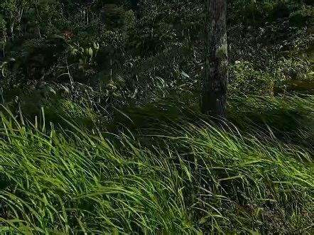 【Gjav】最新视频来袭，快来看看吧！