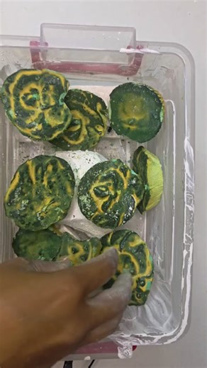 The fairy on Instagram: "My favourite texture ❣️🥺🥺c/w- @your.asmr.girly Thank you so much dear for this collaboration... #instagram #trending #fypppppppppppppppppppppppppppppppppppppppppppppppppppppppppppppppppppppp #instagood #viral"