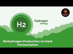 Dark Fermentation Explained: From Glucose to Green Hydrogen