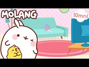 Molang - The Birdling | A #cutepet for a #new season ! | #cutecartoon