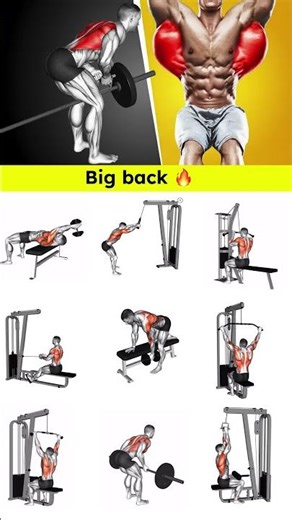Back workout at gym | Back workout with dumbbells | back workout at home