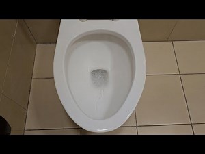 Vintage Briggs Sultan toilet