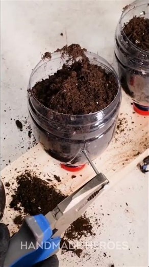 🌱🪴 Bottle Garden Hack: Grow Plants on Your Wall!