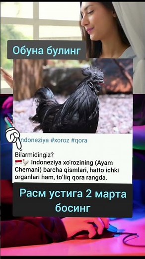 shorts uzbek shorts uzbek, shorts uzbekcha, 8shorts uzbekistan shorts uzbek tilida, shorts uzbek