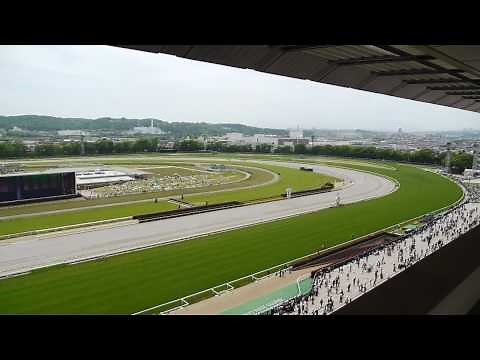 JRA東京競馬場の8階にある「ダービールーム」からの景色