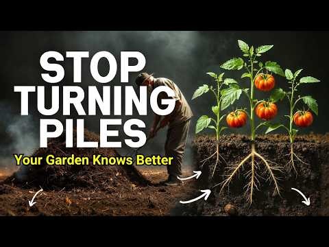 Why I’ll Never Make Compost Again This Lazy Trick Works Better