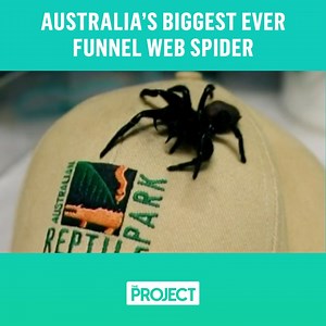 17K views · 77 reactions | NO THANK YOU. | The Project | Facebook