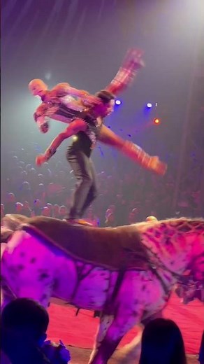 Acrobatic Horse Lovers #acrobatics #horse