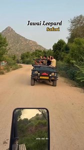Jawai hills safari 😍🐆#explore #explorepage #trending #trendingreels #trend #wildlife #wildlifephotography #naturphotography #nature #natural #travel #travelphotography #travlbllogger #traveling #adventure #viral #viralreels #post #video #reels #reelsinstagram #view #jawai #jawaidam #jawaibandh #Ahmedabad #rajasthan #Gujarat #safariwithvipul #jawai_bera_panther_safari | आपणो जवाई बाँध