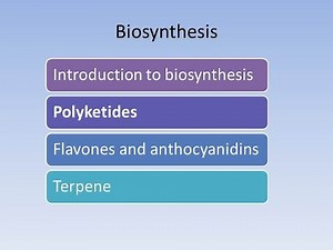 bio synthesis english Polyketides and mono-terpene and natural products