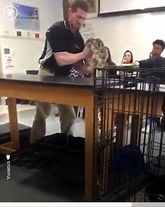 Who says school has to be boring? | The London Economic