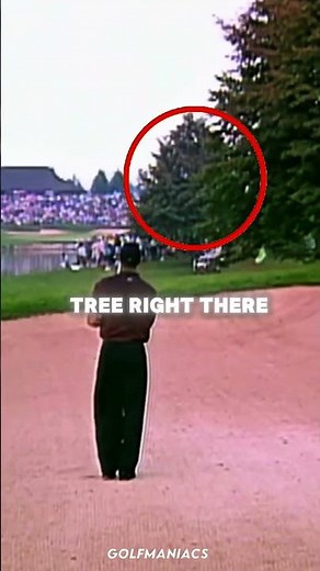 Tiger woods, greatest shot of all time