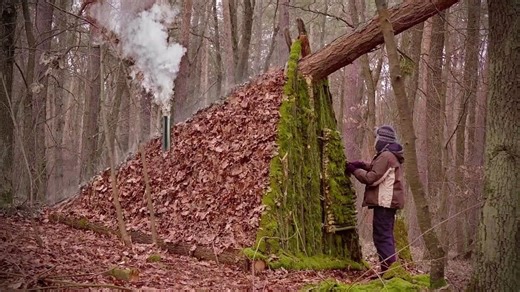 发现野外倾倒老树，决定在树下动手，打造专属圆木生存庇护所