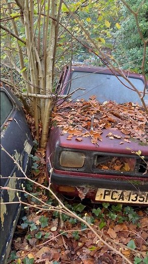 ABANDONED CARS IN WOODS #automotive #automobile #abandoned #explore #retro #carcollection #viral #uk