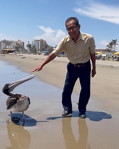 Picture with the pelican didn't go as planned😅😂 | Animal Lovers