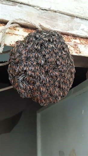 26 मार्च 2026