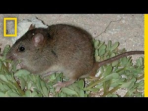 Climate change: a climate scientist answers questions from teenagers