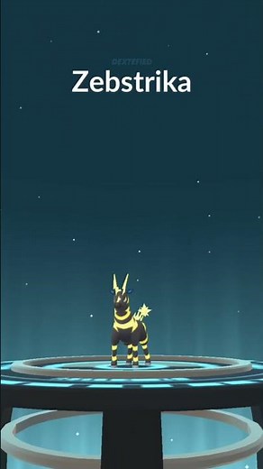 Blitzle evolution in Pokemon GO #Pokemon #Shorts