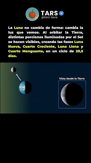 Las fases de la Luna