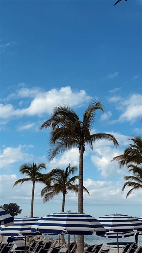 ASHLEE JOY on Instagram: "I’m not a nice person… I can be a nice person but what I am, is a good person. Ladies, do you know the actual definition of “Nice”? 📖 “Nice” is a versatile adjective, that means pleasant, kind, or agreeable... Agreeable. Women, have been conditioned and molded to play nice for generations. Me, Ashlee Joy… I’ve always been sweet, kind, giving, nice and genuine. This was simply just my natural way of being. “Why can’t you just communicate clearly in a way where pe