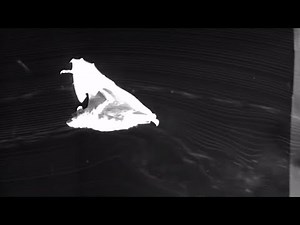 The neuroscience of bat flight