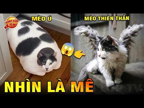 🔥 7 of the World's Rarest and Most Exotic Cats, You Can't Buy Them Even with Money | Magnifying G...