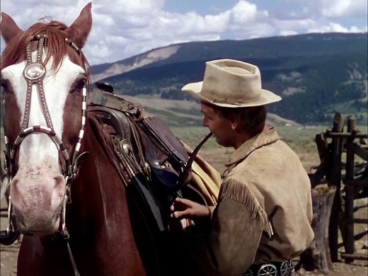 Shane 1953 Alan Ladd