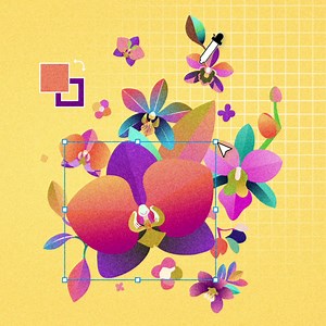 Create anything you can imagine with 20 apps in the Creative Cloud All Apps plan. | Adobe Creative Cloud