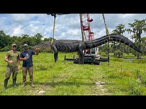 Hunting GIANT Gators in Louisiana