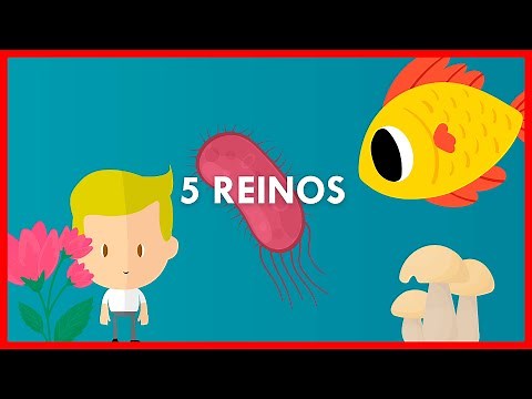 LOS 5 REINOS y sus CARACTERISTICAS // Explicacion FACÍL y RÁPIDA