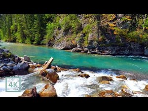 4K Far From Everything | Emerald River & Gentle Rapids in British Columbia Backcountry Wilderness