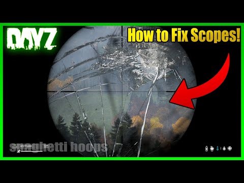 DayZ - How to Fix Weapon Scopes! (DayZ Survival Guide)