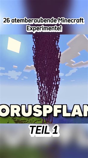 #26 atemberaubende Minecraft Experimente! #Roman #Lars #LarsundRoman #RomanundLars