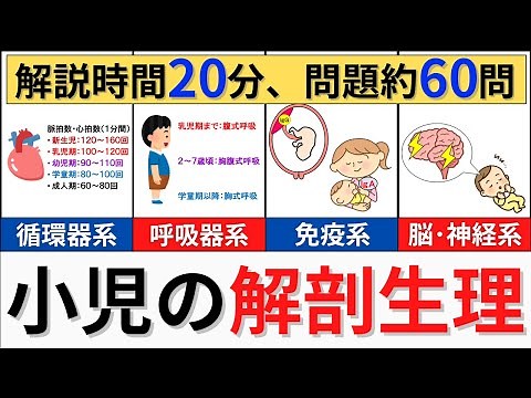 小児の解剖生理の発達について解説 56:05はう蝕になりやすいが正しいです💦音声は誤りです💦