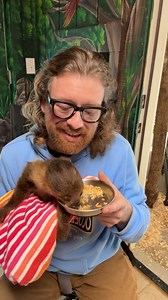 Baby sloth cuddles | Ocoee Riverside Farm